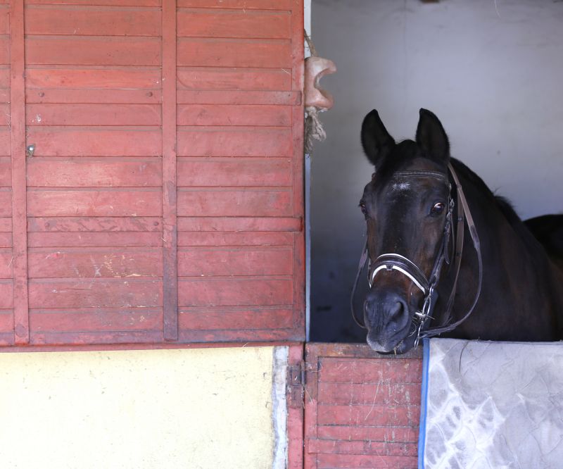 Completed Wooden Doorses