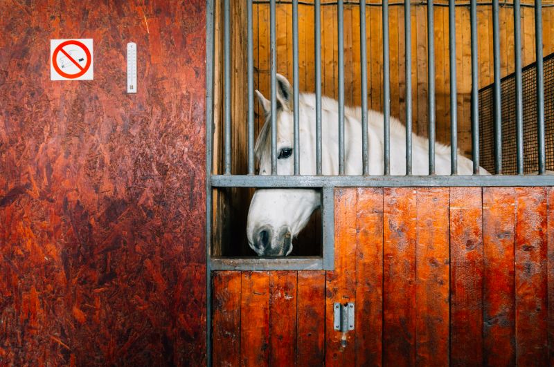 Security Metal Doorses